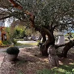 Conca' E Janas
