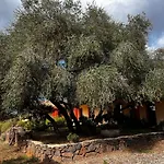Conca' E Janas Dorgali