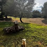 Conca' E Janas * Dorgali