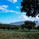Conca' E Janas
