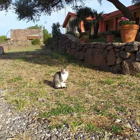 팜스테이 Conca' E Janas 도르갈리