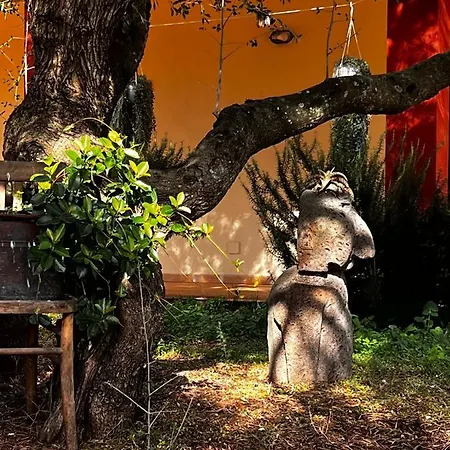 팜스테이 Conca' E Janas