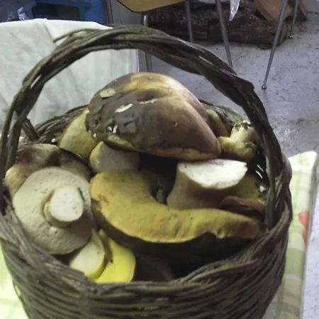 팜스테이 Conca' E Janas