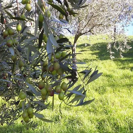 팜스테이 Conca' E Janas 도르갈리