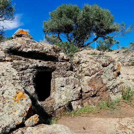 팜스테이 Conca' E Janas 도르갈리