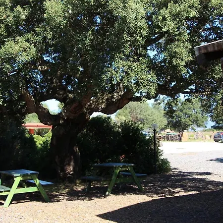 Conca' E Janas * 도르갈리