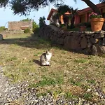 Feriegård Conca' E Janas Dorgali