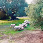 Feriegård Conca' E Janas Dorgali