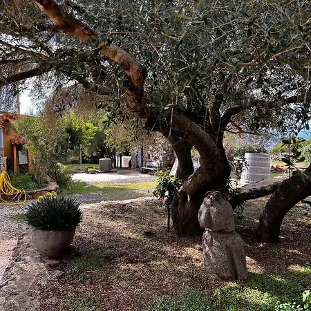 Conca' E Janas
