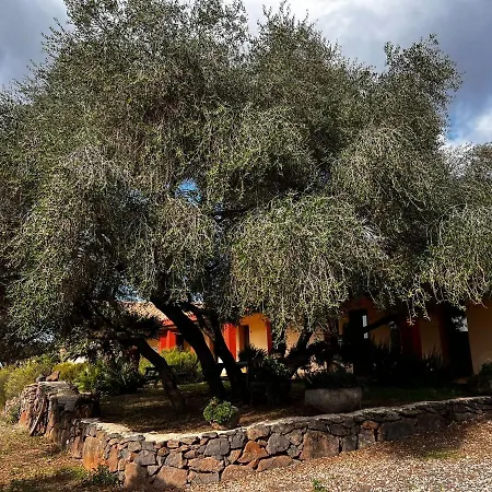 Conca' E Janas Dorgali