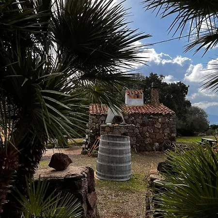 Conca' E Janas ファームステイ *