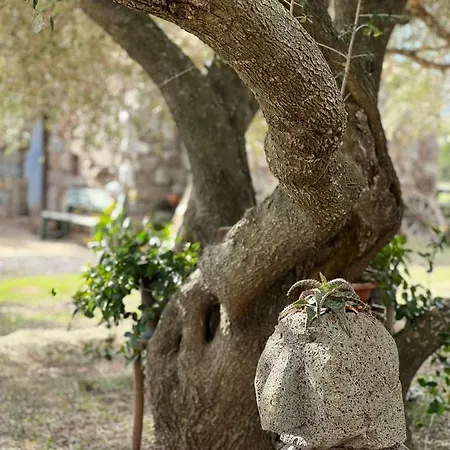 ファームステイ Conca' E Janas