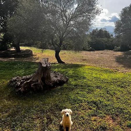 Conca' E Janas * Dorgali