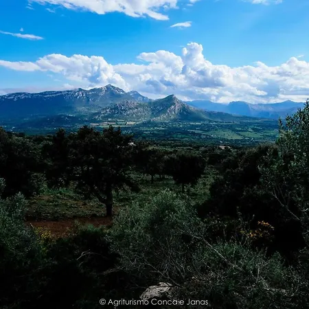 Conca' E Janas ファームステイ ドルガーリ