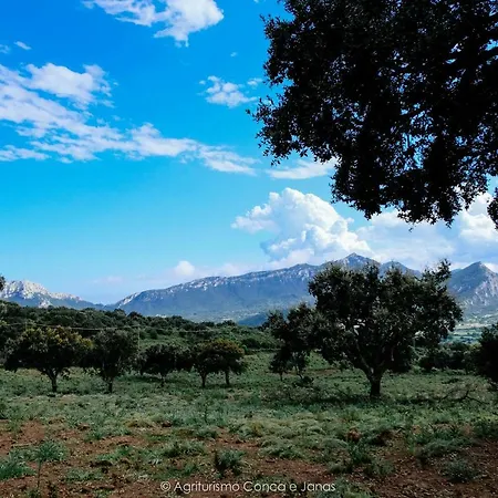 Conca' E Janas
