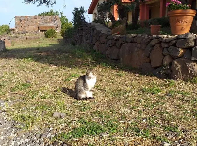 مزرعة للإقامة Conca' E Janas دورغالي