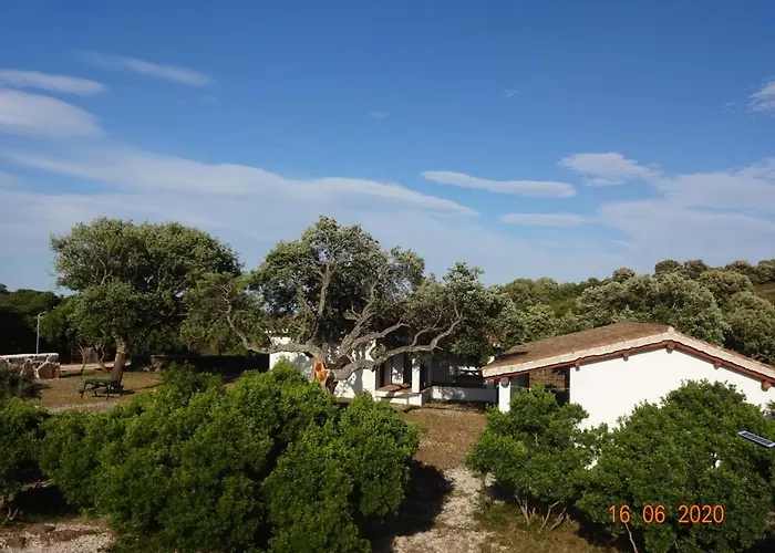 Conca' E Janas * Доргали