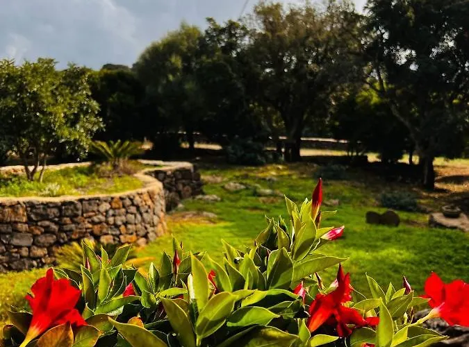 Conca' E Janas * Dorgali