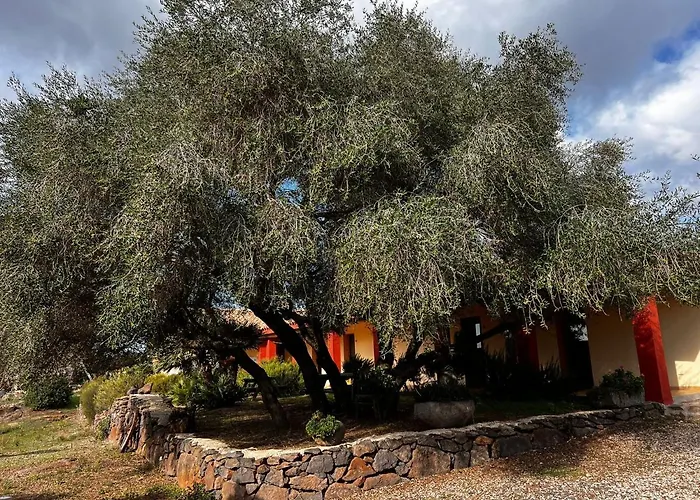 Conca' E Janas دورغالي