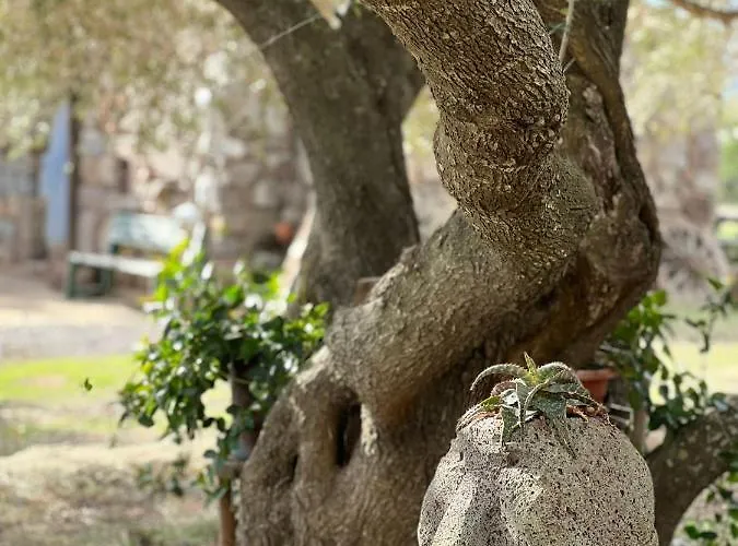 Alojamento de Turismo Rural Conca' E Janas