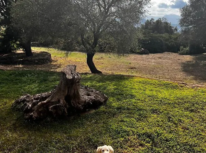 Conca' E Janas * دورغالي