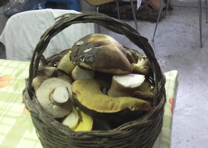 مزرعة للإقامة Conca' E Janas