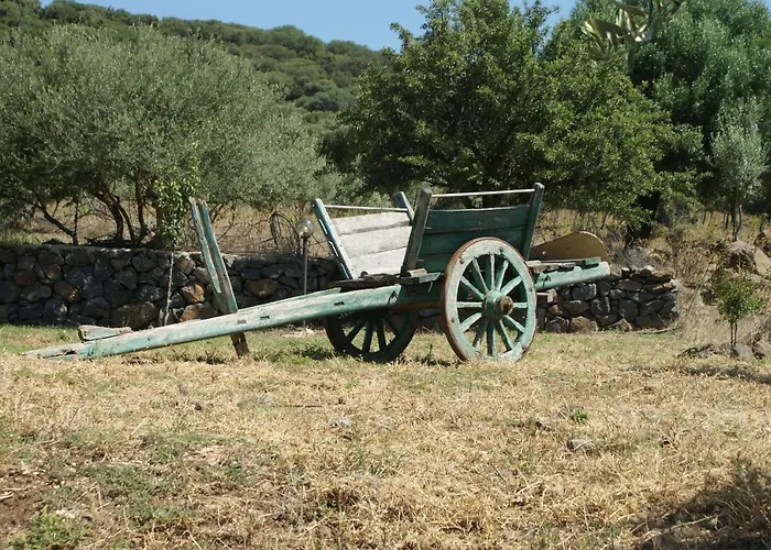 مزرعة للإقامة Conca' E Janas دورغالي