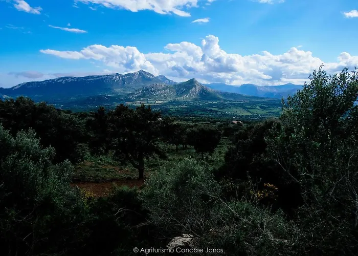 Conca' E Janas Alojamento de Turismo Rural Dorgali