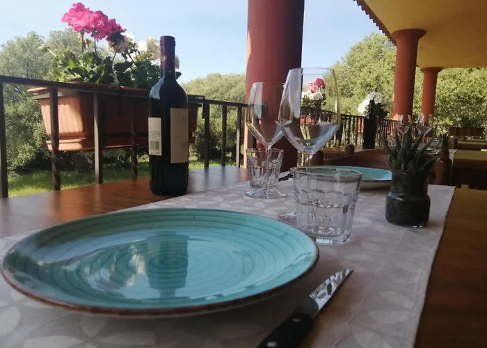 Conca' E Janas دورغالي