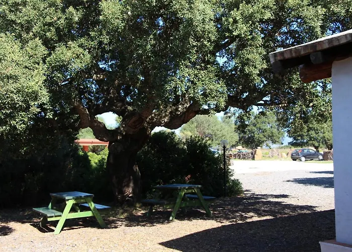 Conca' E Janas * دورغالي